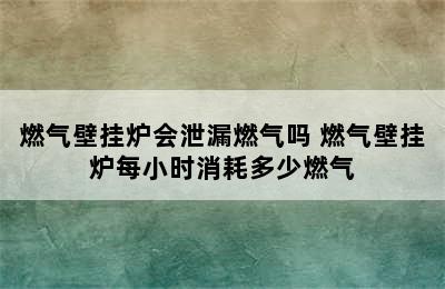 燃气壁挂炉会泄漏燃气吗 燃气壁挂炉每小时消耗多少燃气